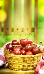 Ripe red organic sweet cherry in the garden in the summer. Agricultural background.