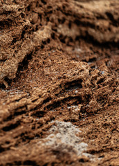 Different texture on the beach - water and sand, stones and pebbles, waves and splashes.