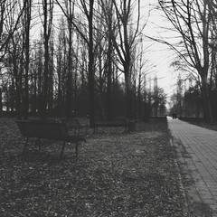 loneliness in a walk in the park