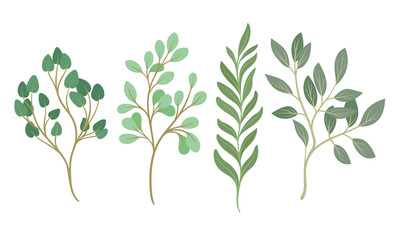 Tree Twigs and Branches with Green Leaves Vector Set