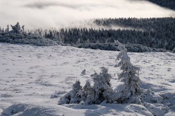 Fog on snow mountains