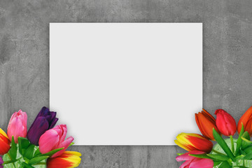 Concrete spring concept with tulips and white canvas