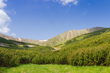Mountain ridge with rock outcrops in the Carpathian Mountains