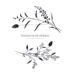 Beautiful frame composition with watercolor bouquet of dark wild field herbs. Stock illustration.