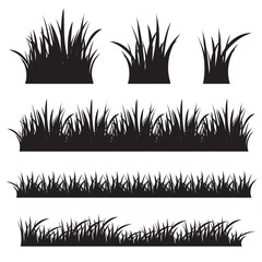Grass black silhouette isolated on white background. 