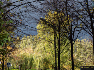 arbres d'automne en bord de Seine à Levallois-Perret près de Paris