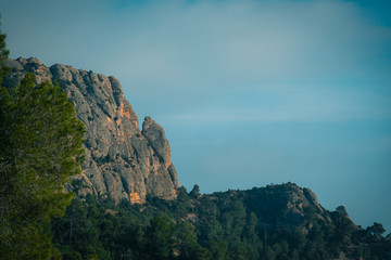 Naklejka premium Montserrat adds in full swing