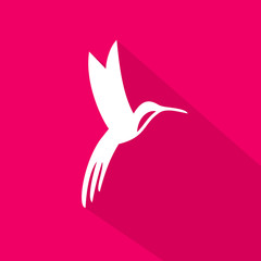 Hummingbirds will go down - icon illustration