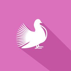 Pigeon or Dove - icon illustration