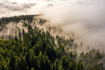 Nebel Wald Strasse Berge Wolken Keilberg