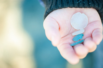 Sea Glass, Sand Dollar and Hand