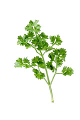 Parsley leaves