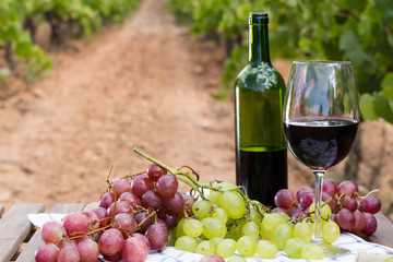 still life with glass of red wine and grapes