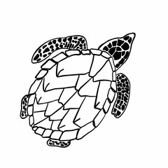 Vector image of a big turtle. Coloring book for children and adults.