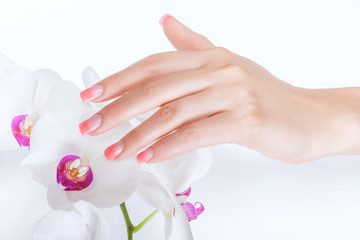 Female hand strokes magnolia flowers.