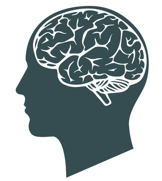 Human brain vector illustration with face profile.