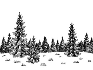 Fir forest graphic black white landscape sketch illustration vector