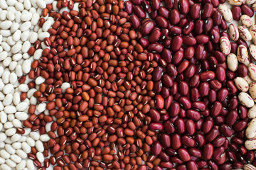 Different varieties of bean seeds. Beans background. - 323633810