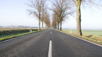 Fototapeta premium Emty