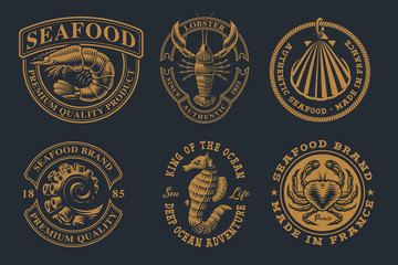 Set of vintage illustrations for seafood theme © Natalia