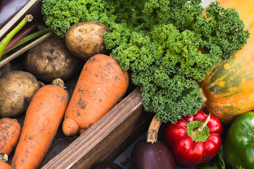 Assortment of fresh vegetables. Healthy organic food concept
