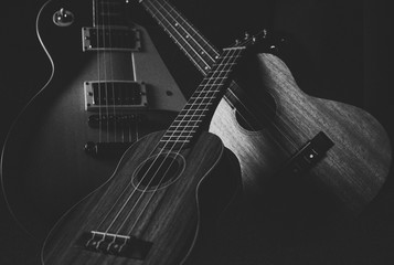 Instrument