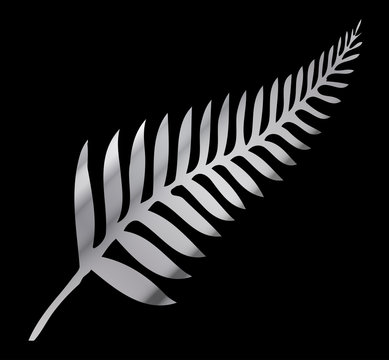 Silver Fern of New Zealand On Black