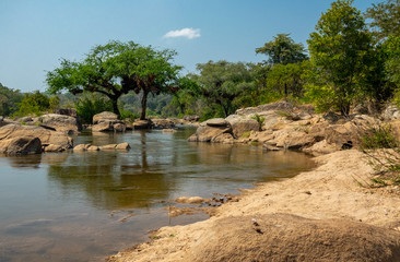 River with rocks and trees under blue sky