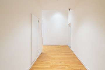 nature good Perspective warm wooden floor texture