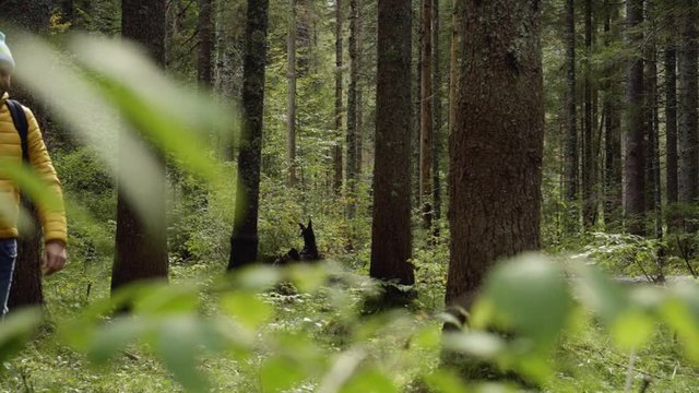 Single male hiker in Parco Naturale dei Laghi di Fusine, Italy