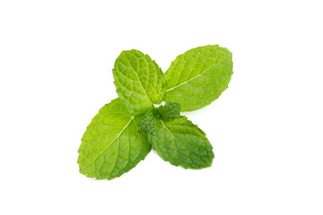 Mint leaves isolated on white background.