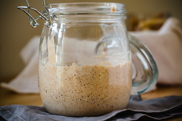 A sourdough bread starter