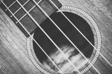 Obraz premium Instrument