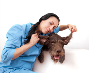 Dog breed German Wirehaired Pointer and funny veterinary doctor