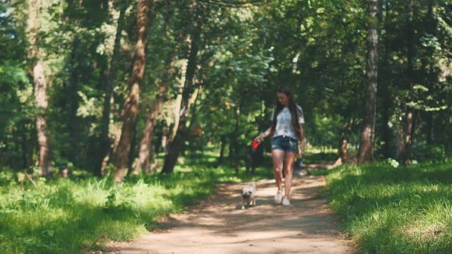 Pug dog next to a girl happily running through the path in the nature park. Copy space. 4K.