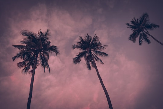 Vintage toned Silhouette of palm trees at tropical coast over sky