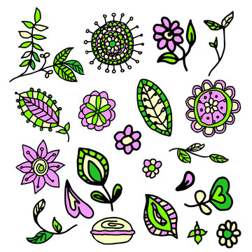 vector flowers line set with color