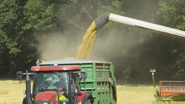 A detailed view of a combine harvester and a tractor as combiner pours grain into the tractor.