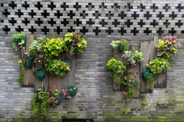 Green plant on shabby brick wall