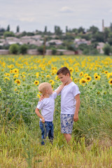 Fototapeta premium Two boys rother have fun in the field of sunflowers, summer, the concept of friendship