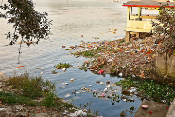 Water pollution in Indian river