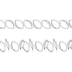Hand drawn lemons two borders. Outline citrus vector frames. Sketch fruits decor.