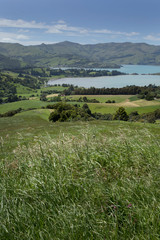 Banks peninsula Akaroa New Zealand