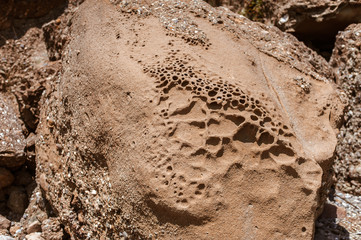 clay and sand on a stone with holes and dimples formed from wind