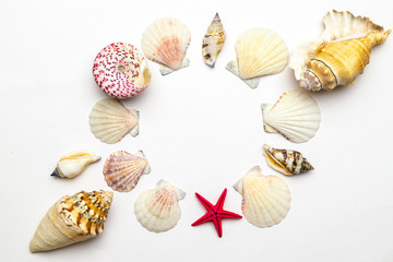 Summer concept background. Trendy natural organic color seashells, red starfish isolated on white backdrop. Shells in shape frame with copy space