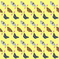 Butterflies. Seamless pattern.