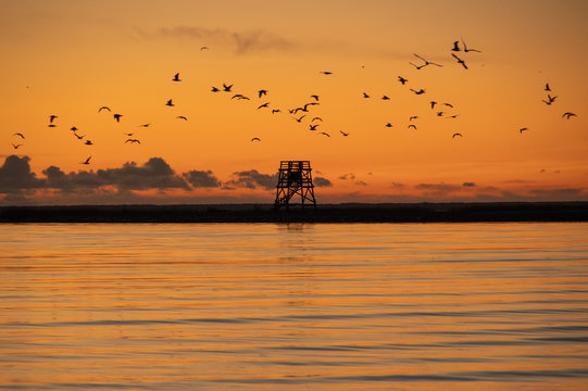 Sunset over the Baltic sea in P&auml;rnu coloring water in orange with silhouette of Vana-P&auml;rnu bird watching tower on horizon and flock of birds flying over