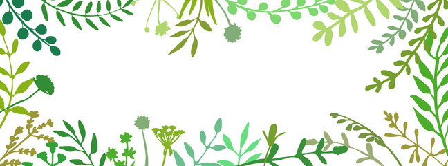 Fototapeta na wymiar Long floral banner. Great to place any text or quote. Eco header. Wild herbs and flowers. Botanical hand drawn elements. Vector illustration isolated