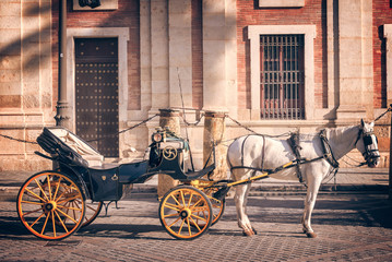 Fototapeta na wymiar Horse carriage in Seville, Andalusia, Spain