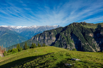 Fototapeta na wymiar Spring in Kullu valley in Himalaya mountains. Himachal Pradesh, India